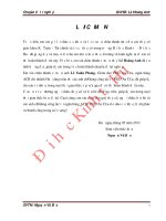 Đánh giá hiệu quả cho vay tiêu dùng khách hàng cá nhân tại ngân hàng thương mại cổ phần á châu (ACB) – chi nhánh huế 