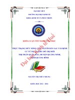 Thực trạng mức sống của người dân sau tái định cư từ dự án khu đô thị mới thị trấn quán hàu, huyện quảng ninh, tỉnh quảng bình 