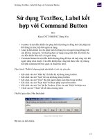 Sử dụng textbox, label kết hợp với command button 