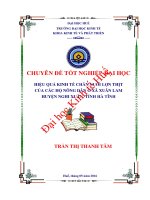 Hiệu quả kinh tế chăn nuôi lợn thịt của các hộ nông dân ở xã xuân lam, huyện nghi xuân, tỉnh hà tĩnh 