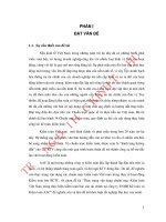 Thực trạng vận dụng chuẩn mực kiểm toán việt nam trong thực hiện kiểm toán báo cáo tài chính tại công ty TNHH kế toán và kiểm toán AAC 