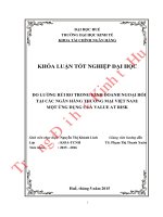 Đo lường rủi ro trong kinh doanh ngoại hối tại các ngân hàng thương mại việt nam một ứng dụng của value at risk 