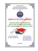 Đánh giá chiến lược marketing trực tuyến của hãng hàng không việt nam airlines chi nhánh đà nẵng 