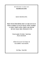 PHÂN TÍCH TÌNH HÌNH CHO VAY hộ sản XUẤT NÔNG NGHIỆP tại NGÂN HÀNG NÔNG NGHIỆP và PHÁT TRIỂN NÔNG THÔN CHI NHÁNH HUYỆN NGỌC hồi, TỈNH KON TUM 