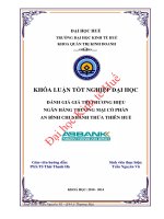 Đánh giá giá trị thương hiệu ngân hàng thương mại cổ phần an bình chi nhánh thừa thiên huế 