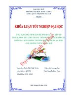 Ứng dụng mô hình SEM để đánh giá các yếu tố ảnh hưởng tới lòng trung thành của khách hàng cá nhân tại ngân hàng thương mại cổ phần an bình   chi nhánh thừa thiên huế 