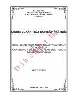 Hiệu quả của nuôi tôm trên cát ở một số xã vùng ven biển huyện bố trạch, tỉnh quảng bình 