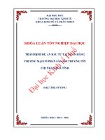 Thẩm định dự án đầu tư tại ngân hàng thương mại cổ phần sài gòn thương tín chi nhánh hà tĩnh 