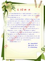 Đánh giá hiệu quả kinh tế chăn nuôi gà thịt trên địa bàn xã hải sơn, huyện hải lăng, tỉnh quảng trị 