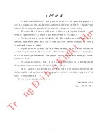 Đánh giá hiệu quả kinh tế mô hình nuôi gà bán chăn thả tại TX hương thủy  tỉnh thừa thiên huế 
