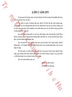 Phát triển hoạt động cho vay thấu chi tài khoản thẻ tại ngân hàng hàng hải   chi nhánh huế 