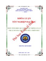 Phân tích hiệu quả kỹ thuật trồng lúa của thị xã hương trà, tỉnh thừa thiên huế 