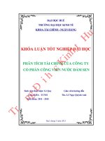 Phân tích tài chính của công ty cổ phần công viên nước đầm sen 