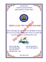 Phân tích hiệu quả kinh tế của các mô hình sử dụng đất sản xuất nông nghiệp bền vững tại các xã vùng cát huyện hải lăng 