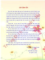 Một số giải pháp hạn chế rủi ro tín dụng ở ngân hàng TMCP quốc tế VIB   chi nhánh huế 