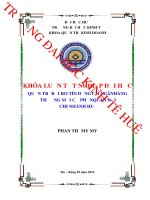 Quản trị rủi ro tín dụng tại ngân hàng TMCP quân đội  chi nhánh huế 