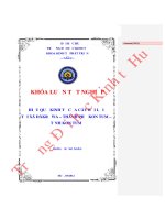 Hiệu quả kinh tế của cây bời lời tại xã đăkrơwa   thành phố kon tum   tỉnh kon tum 