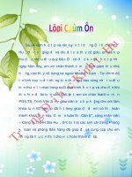 Thực trạng kiểm soát nội bộ chu trình bán hàng   thu tiền tại công ty TNHH bia huế 