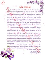 Hoàn thiện công tác thẩm định tín dụng cho vay khách hàng doanh nghiệp tại ngân hàng TMCP hàng hải việt nam – chi nhánh huế 