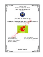 Cảm nhận của khách hàng về bố cục và trưng bày hàng hóa của siêu thị big c huế 