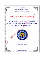 Đánh giá hoạt động kiểm soát rủi rotín dụng tại ngân hàng thương mại cổ phần á châu   chi nhánh huế 