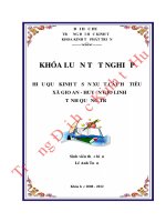 Hiệu quả kinh tế sản xuất cây hồ tiêu ở xã gio an   huyện gio linh   tỉnh quảng trị 