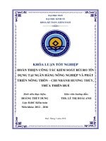 HOÀN THIỆN CÔNG tác KIỂM SOÁT rủi RO tín DỤNG tại NGÂN HÀNG NÔNG NGHIỆP và PHÁT 