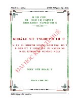 Một số giải pháp nhằm nâng cao hiệu quả hoạt động đầu tư tại công ty cổ phần xây dựng đắk lắk trong những năm gần đây 