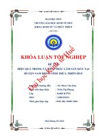 Đánh giá hiệu quả trồng và khai thác lâm sản mây ở huyện nam đông tỉnh thừa thiên huế 