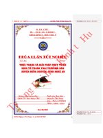 Thực trạng và giải pháp phát triển kinh tế trang trại trên địa bàn huyện hưng nguyên, tỉnh nghệ an 