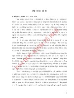 Phát triển kinh tế trang trại ở huyện quảng điền, tỉnh thừa thiên huế 