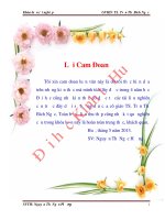 Nghiên cứu các nhân tố ảnh hưởng đến ý định sử dụng dịch vụ internet banking của khách hàng cá nhân tại thành phố huế 