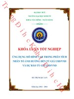 Ứng dụng mô hình VAR trong phân tích nhân tố ảnh hưởng đến tỷ giá USD VND và dự báo tỷ giá USD VND 