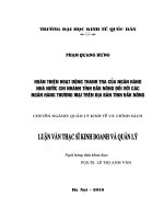 Hoàn thiện hoạt động thanh tra của NHNN Chi nhánh tỉnh Đắk Nông đối với các NHTM trên địa bàn tỉnh Đắk Nông