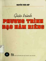 phương trình đạo hàm riêng
