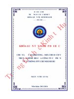 Chiến lược marketing cho dịch vụ truyền hình HD của công ty cổ phần viễn thông FPT chi nhánh huế 