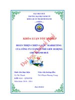 Hoàn thiện chiến lược marketing của công ty cổ phần thế giới di động chi nhánh huế 