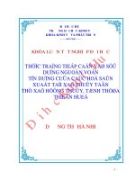 Thực trạng tiếp cận và sử dụng nguồn vốn tín dụng của các hộ sản xuất tại xã thủy tân – thị xã hương thủy – tỉnh thừa thiên huế 