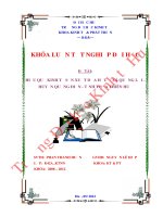 Hiệu quả kinh tế sản xuất dưa hấu tại xã quảng lợi, huyện quảng điền, tỉnh thừa thiên huế 