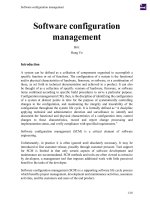 Software configuration management 