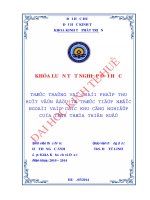 Thực trạng và giải pháp thu hút vốn đầu tư trực tiếp nước ngoài vào các khu công nghiệp của tỉnh thừa thiên huế 