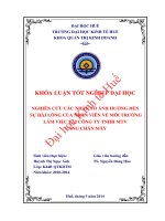 Nghiên cứu các nhân tố ảnh hưởng đến sự hài lòng của nhân viên về môi trường làm việc tại công ty TNHH MTV cảng chân mây 