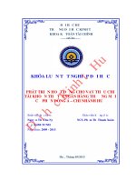 Phát triển hoạt động cho vay thấu chi tài khoản thẻ tại ngân hàng TMCP đông á – chi nhánh huế 