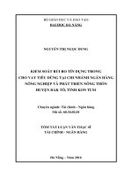 Kiểm soát rủi ro tín dụng trong cho vay tiêu dùng tại chi nhánh ngân hàng nông nghiệp và phát triển nông thôn huyện đak tô tỉnh kon tum 