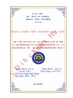 Thực trạng và một số giải pháp hạn chế rủi ro tỷ giá trong hoạt động kinh doanh ngoại tệ tại ngân hàng kỹ thương đông đô  hà nội 