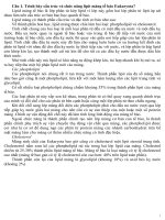 cau hoi on tap di truyen