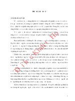 Đánh giá hiệu quả kinh tế của mô hình trồng rau trên cát ở xã bảo ninh – thành phố đồng hới – tỉnh quảng bình 
