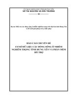 Báo cáo cơ sở dữ liệu các dòng sông ô nhiễm nghiêm trọng tỉnh hưng yên và phần mềm hỗ trợ