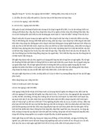 Đây thôn Vĩ Dạ  Một góc nhìn mới