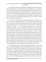 Tiểu luận Đánh giá và tổ chức sử dụng văn bản